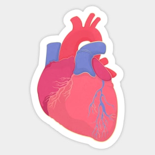 An Anatomically Correct Valentine Sticker